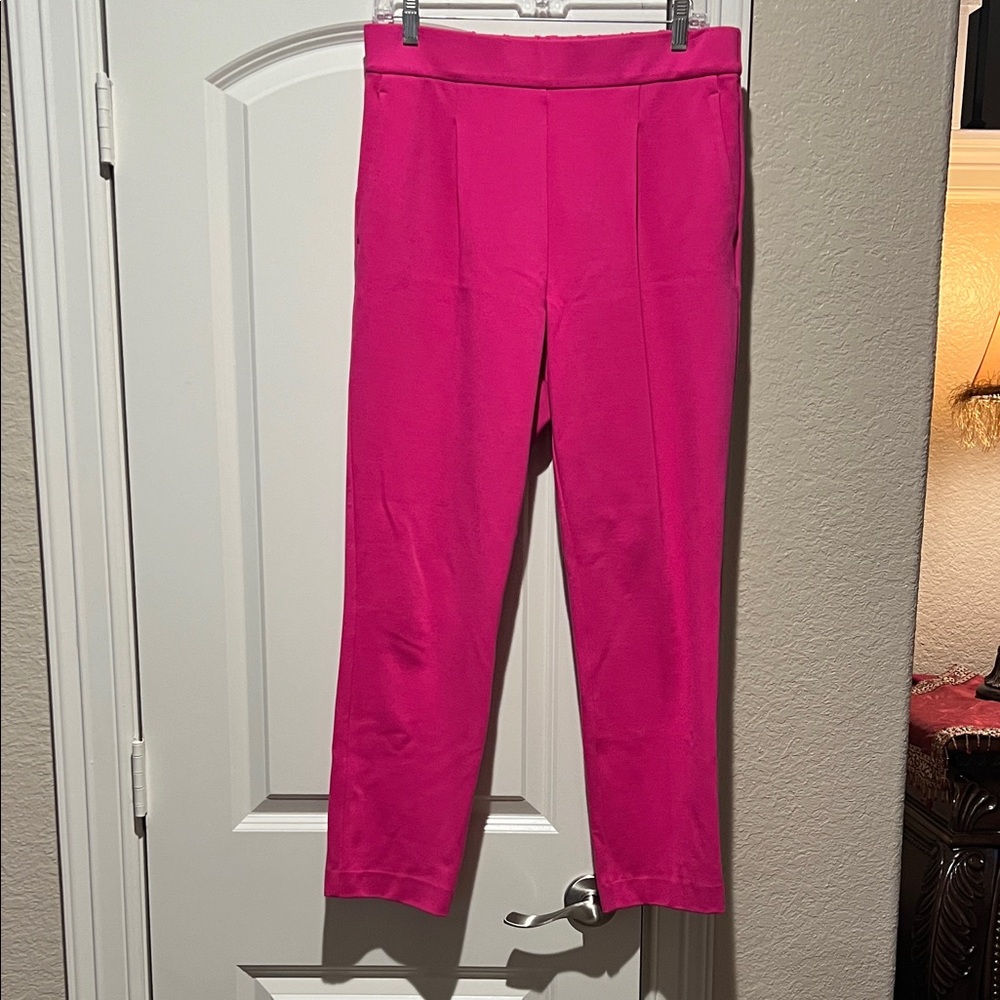 Ann Taylor Fuchsia Ankle Pants